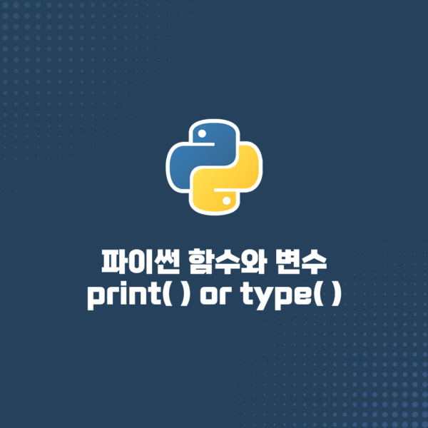 파이썬 기초 강의 01. 함수와 변수, 그리고 자료형의 개념(feat. print, type 함수)